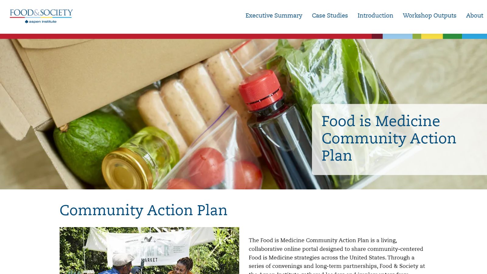 SCreenshot of the Food is Medicine Community Action Plan